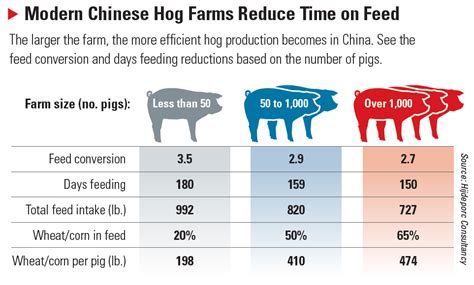 presentation on china hog production